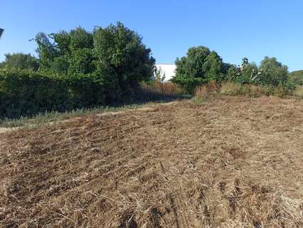 Parcela rústica en venta en Chiclana de la Frontera