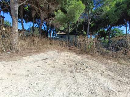 Parcela rústica en venta en Chiclana de la Frontera
