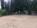 Parcela rústica en venta en Cúllar Vega