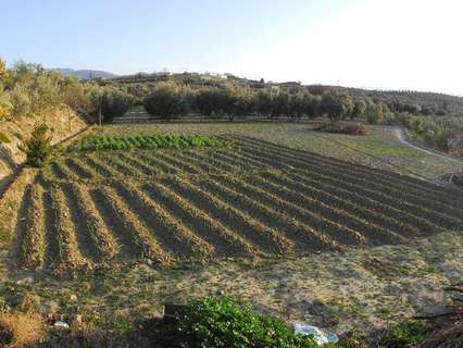 Parcela rústica en venta en Otura