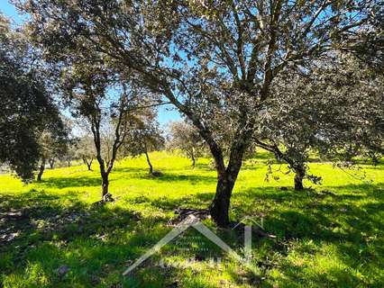 Finca en venta en Almadén de la Plata