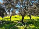 Finca en venta en Almadén de la Plata
