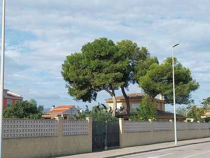 Parcela rústica en venta en Borriana/Burriana