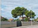 Parcela rústica en venta en Borriana/Burriana