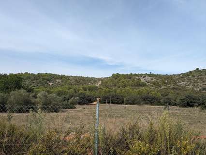 Parcela rústica en venta en Alcalalí