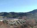 Parcela rústica en venta en Jayena
