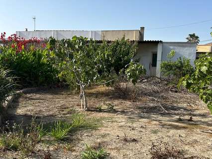 Parcela rústica en venta en Deltebre