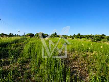 Parcela rústica en venta en Sant Carles de la Ràpita