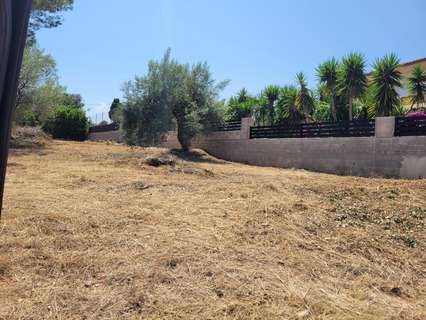 Parcela rústica en venta en Alcanar
