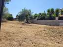 Parcela rústica en venta en Alcanar