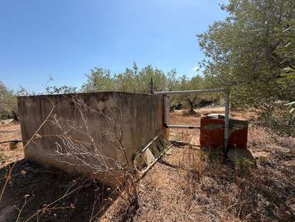 Parcela rústica en venta en Alcanar