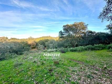 Parcela rústica en venta en Córdoba