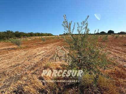 Parcela rústica en venta en Córdoba