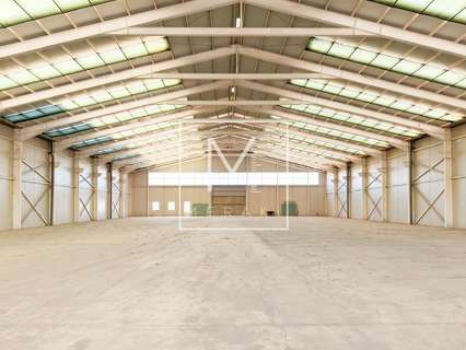 Nave industrial en alquiler en Albacete
