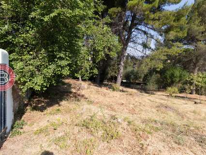 Parcela rústica en venta en Piera