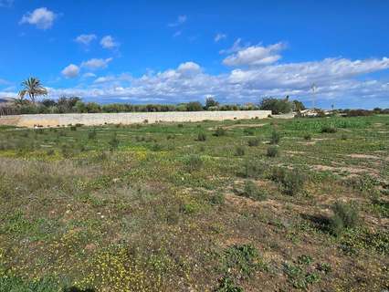 Parcela rústica en venta en Crevillent