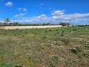 Parcela rústica en venta en Crevillent