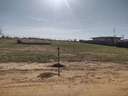 Parcela rústica en venta en Alcalá de Guadaíra