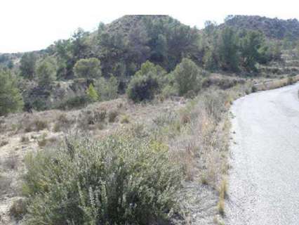 Parcela rústica en venta en Molina de Segura
