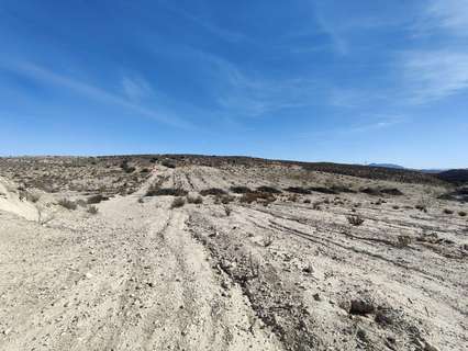Parcela rústica en venta en Molina de Segura