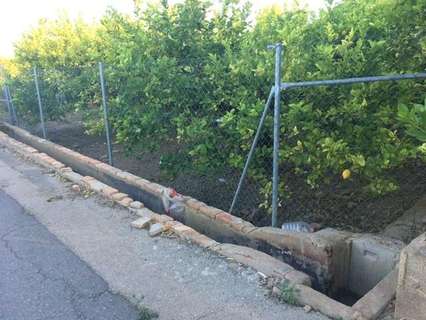 Parcela rústica en venta en Murcia zona El Esparragal