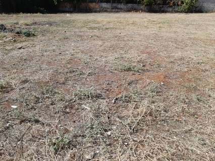 Parcela rústica en venta en Córdoba