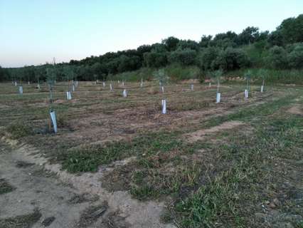 Casa rústica en venta en Lora de Estepa