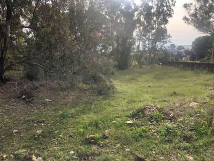 Parcela rústica en venta en Córdoba