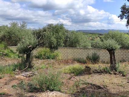 Parcela rústica en venta en Córdoba