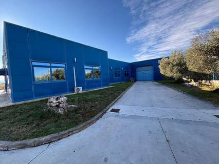 Nave industrial en venta en Cabra