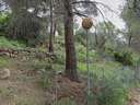 Parcela urbana en venta en Benicasim/Benicàssim