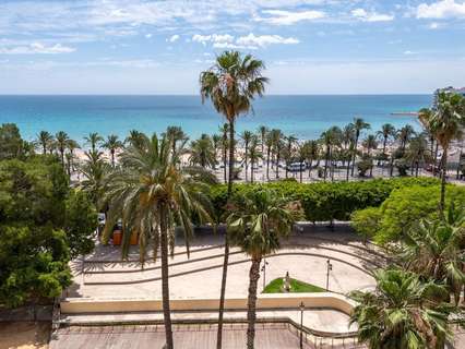 Piso en alquiler en Alicante