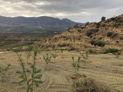 Parcela rústica en venta en El Valle