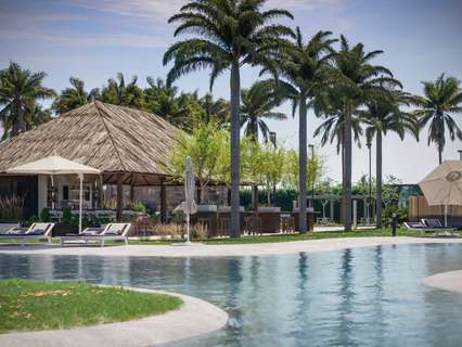 Planta baja en venta en Torre-Pacheco zona Roldán