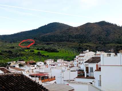 Parcela rústica en venta en Tolox