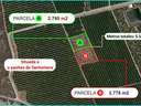 Parcela rústica en venta en Santomera