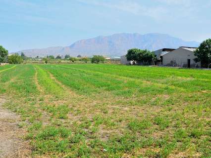 Parcela rústica en venta en Santomera