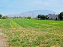 Parcela rústica en venta en Santomera