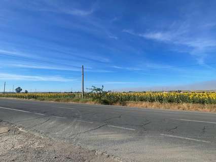 Parcela rústica en venta en Huelva