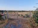 Parcela rústica en venta en Lepe