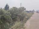 Parcela industrial en venta en Carcaixent