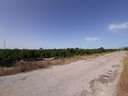 Parcela rústica en venta en Alzira