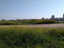 Parcela urbana en venta en Alzira
