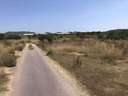 Parcela rústica en venta en Alfarp