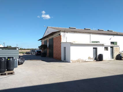 Nave industrial en venta en Alzira