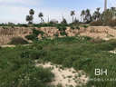 Parcela industrial en venta en Elche/Elx