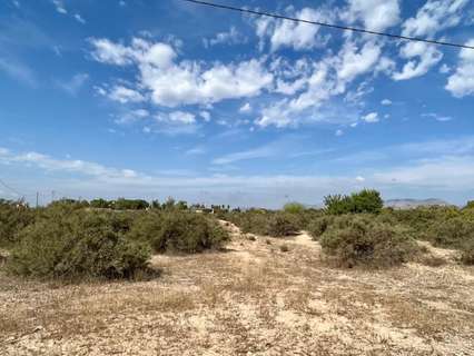 Parcela rústica en venta en Elche/Elx