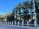 Piso en venta en Elche/Elx