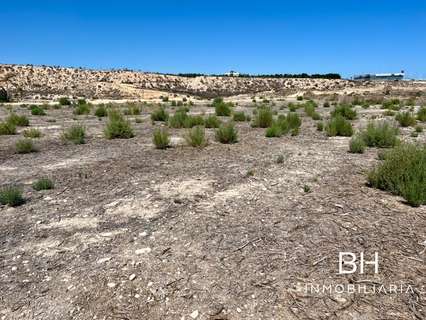 Parcela rústica en venta en Elche/Elx zona Peña las Aguilas