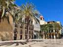 Local comercial en alquiler en Elche/Elx